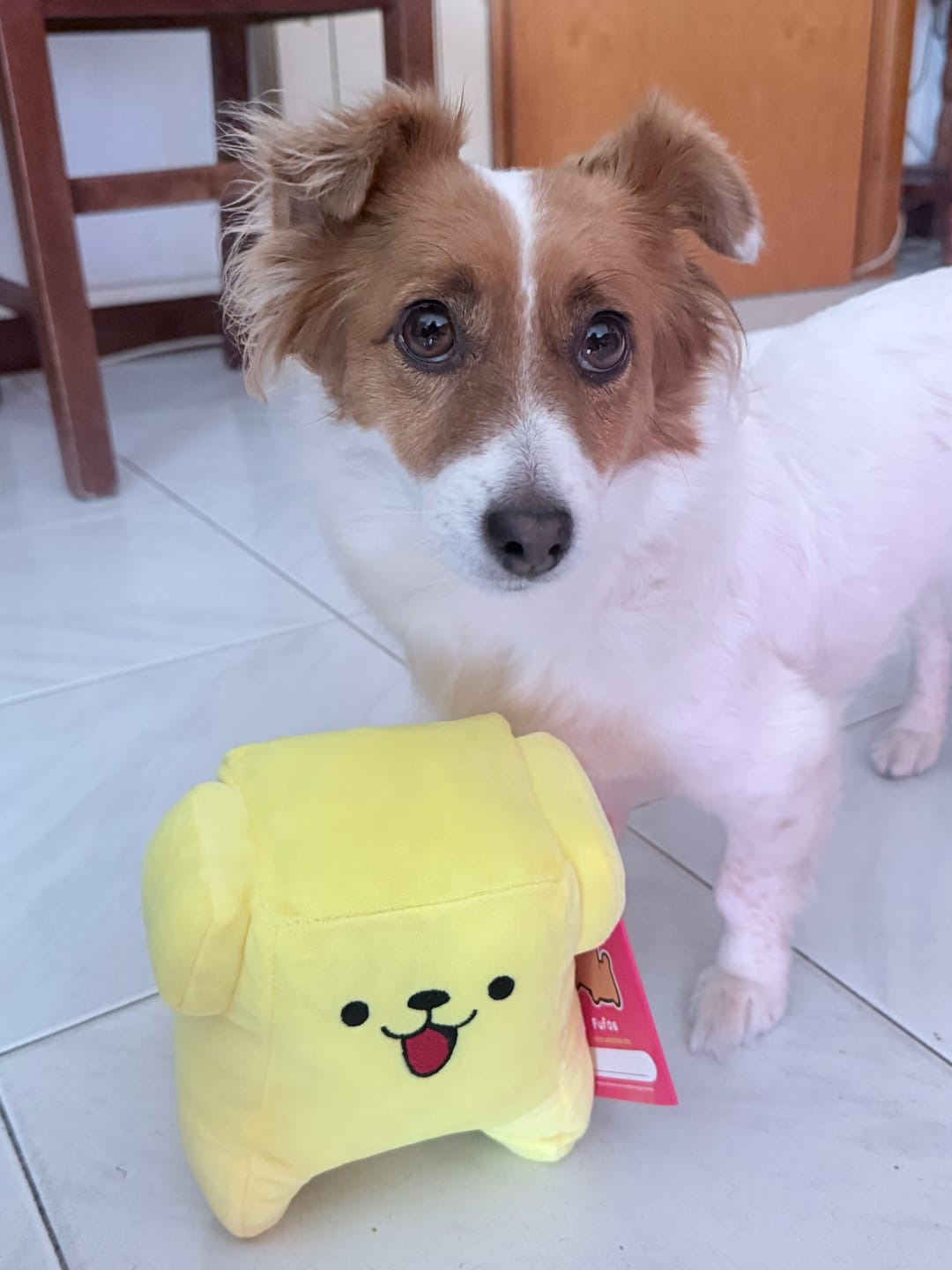 Customer photo review of Peluche Fufos + Albo Fumetti e Risate!