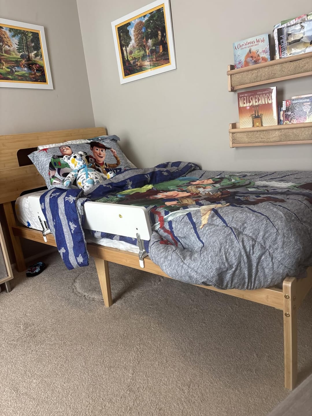 Customer photo review of Hollow - Natural Bamboo Platform Bed Frame