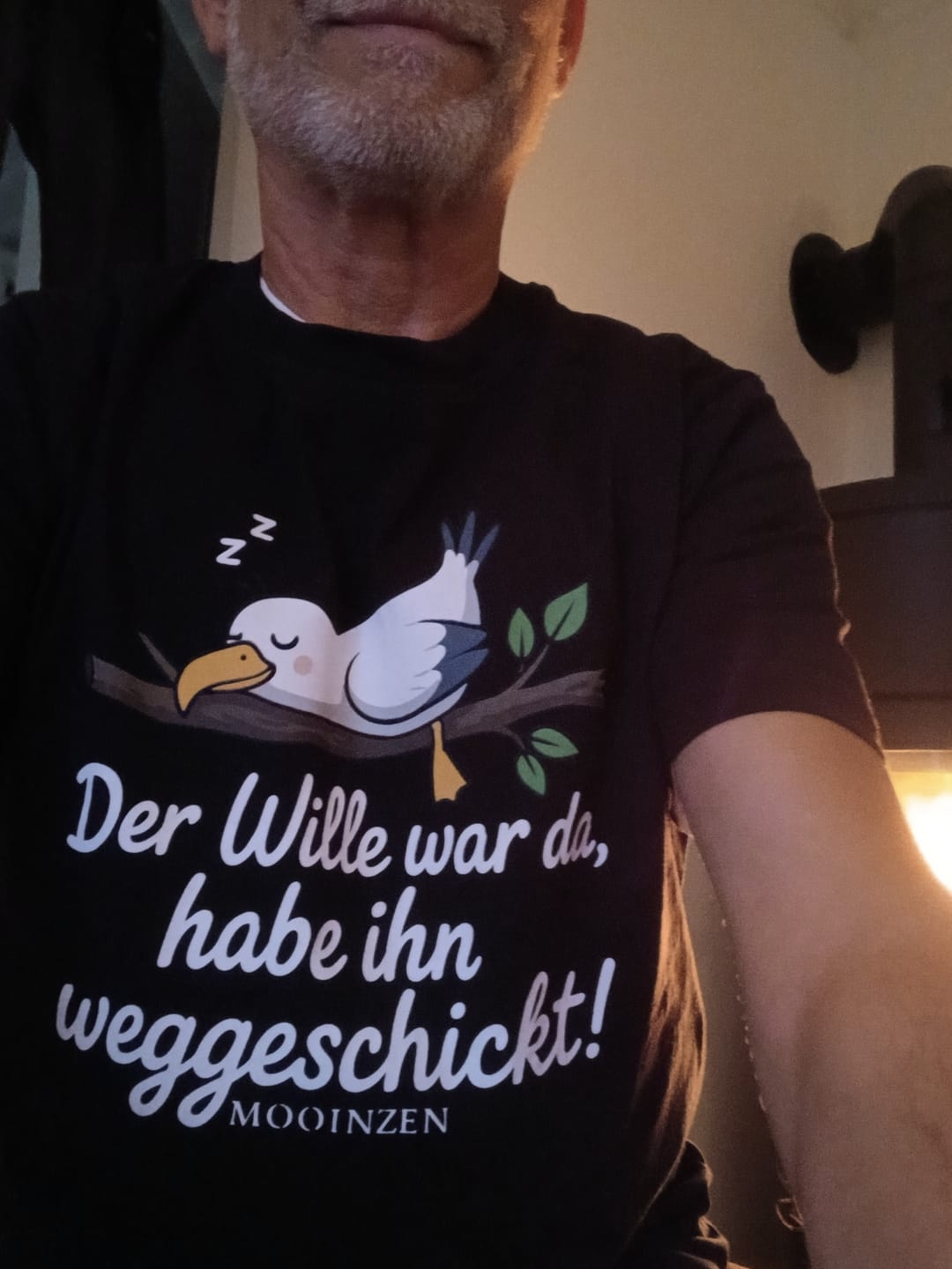 Customer photo review of Der Wille war da weggeschickt · Unisex Premium Bio T-Shirt