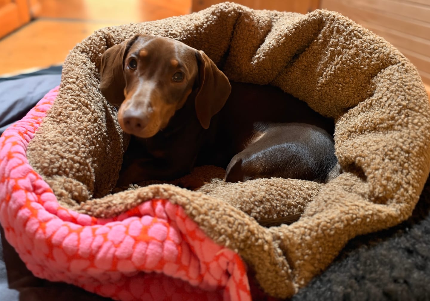 Customer photo review of Studio Nest Schlafsack