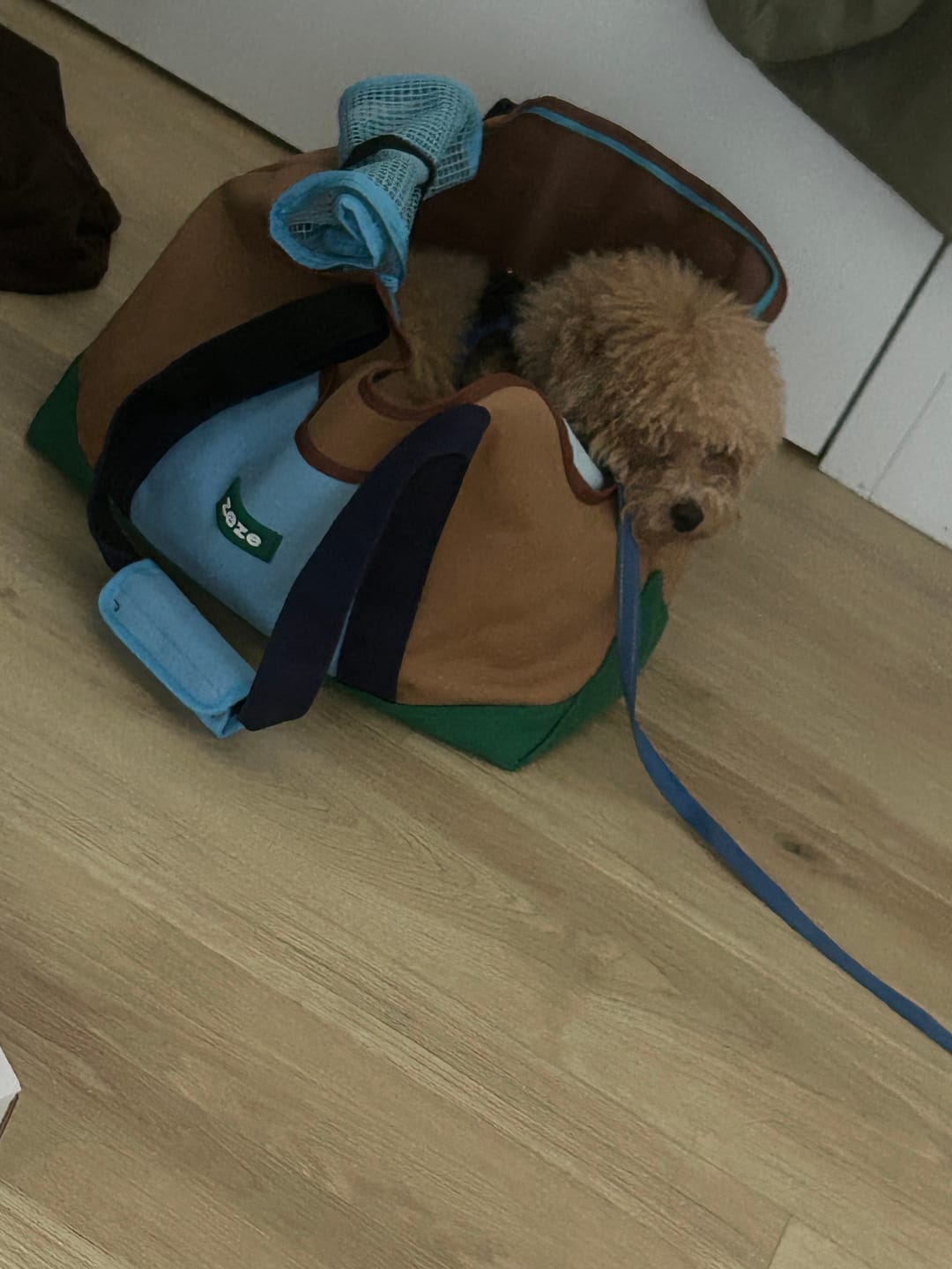 Customer photo review of Urban Palette Travel Tote
