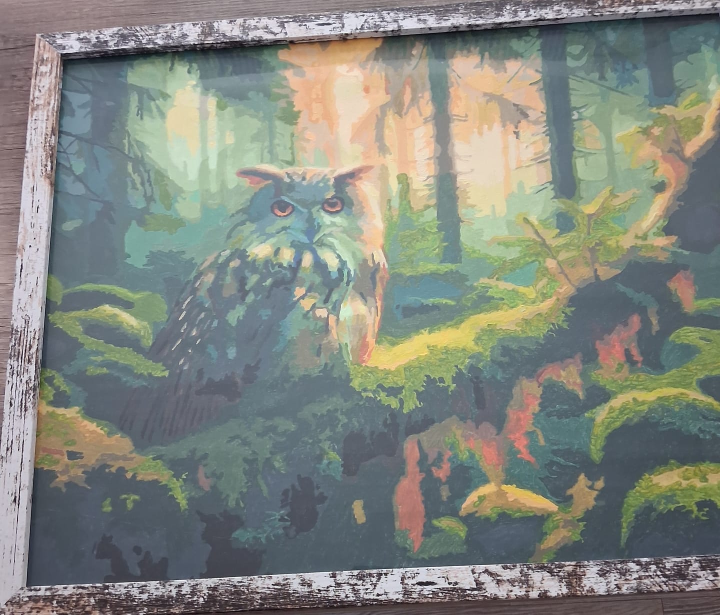Customer photo review of Eule auf Ast - Malen nach Zahlen