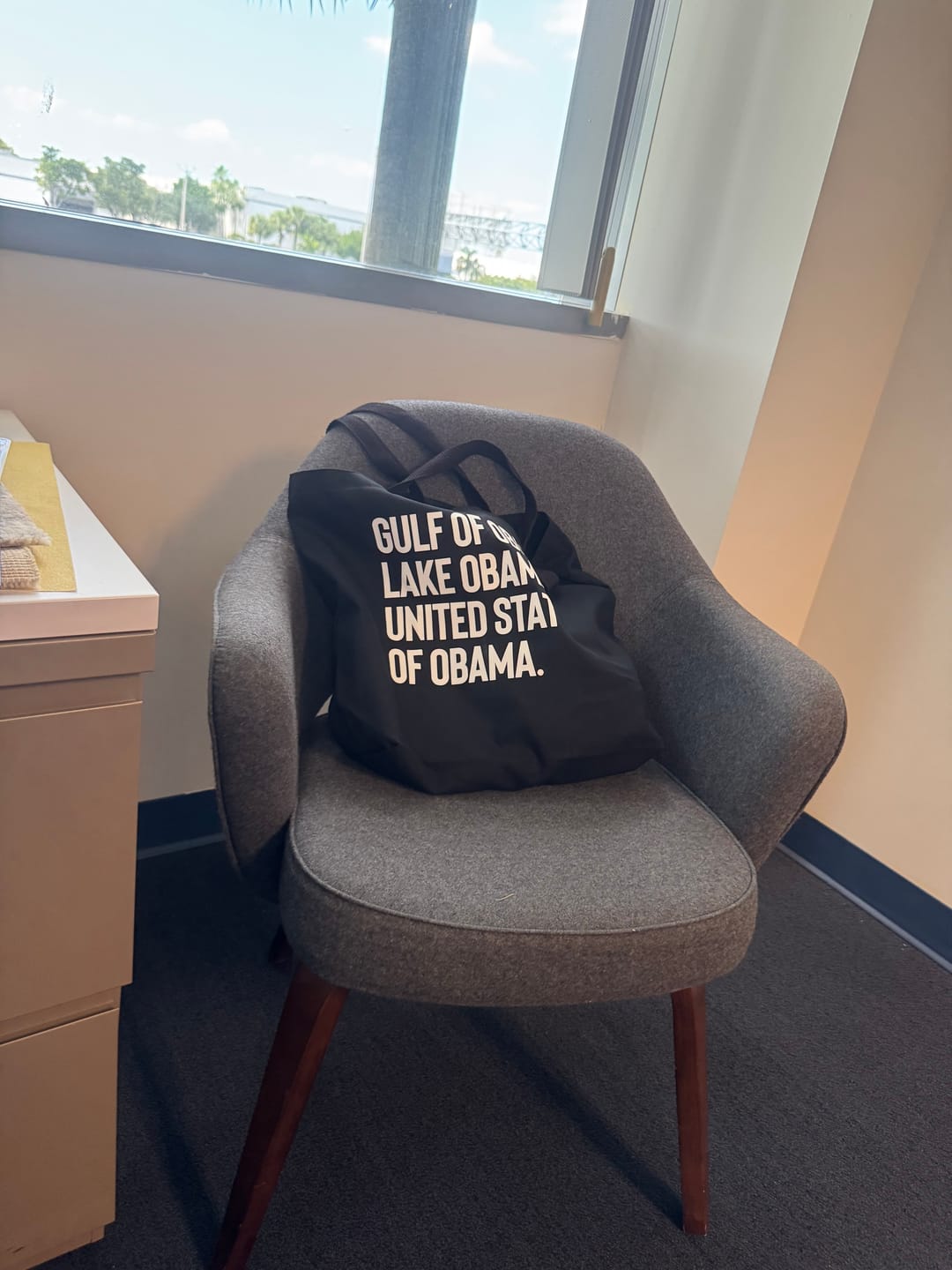 Customer photo review of Gulf of Obama. Lake Obama. The United States of Obama Tote bag