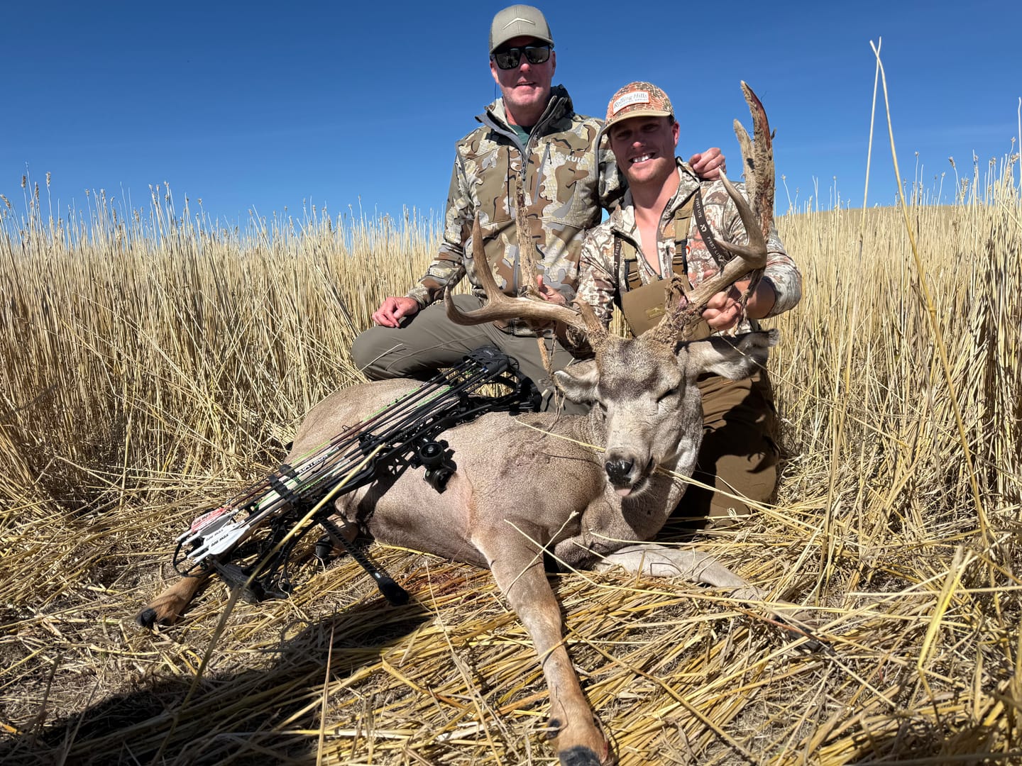 Customer photo review of Cut on Contact Titanium Broadheads (3 Pack)