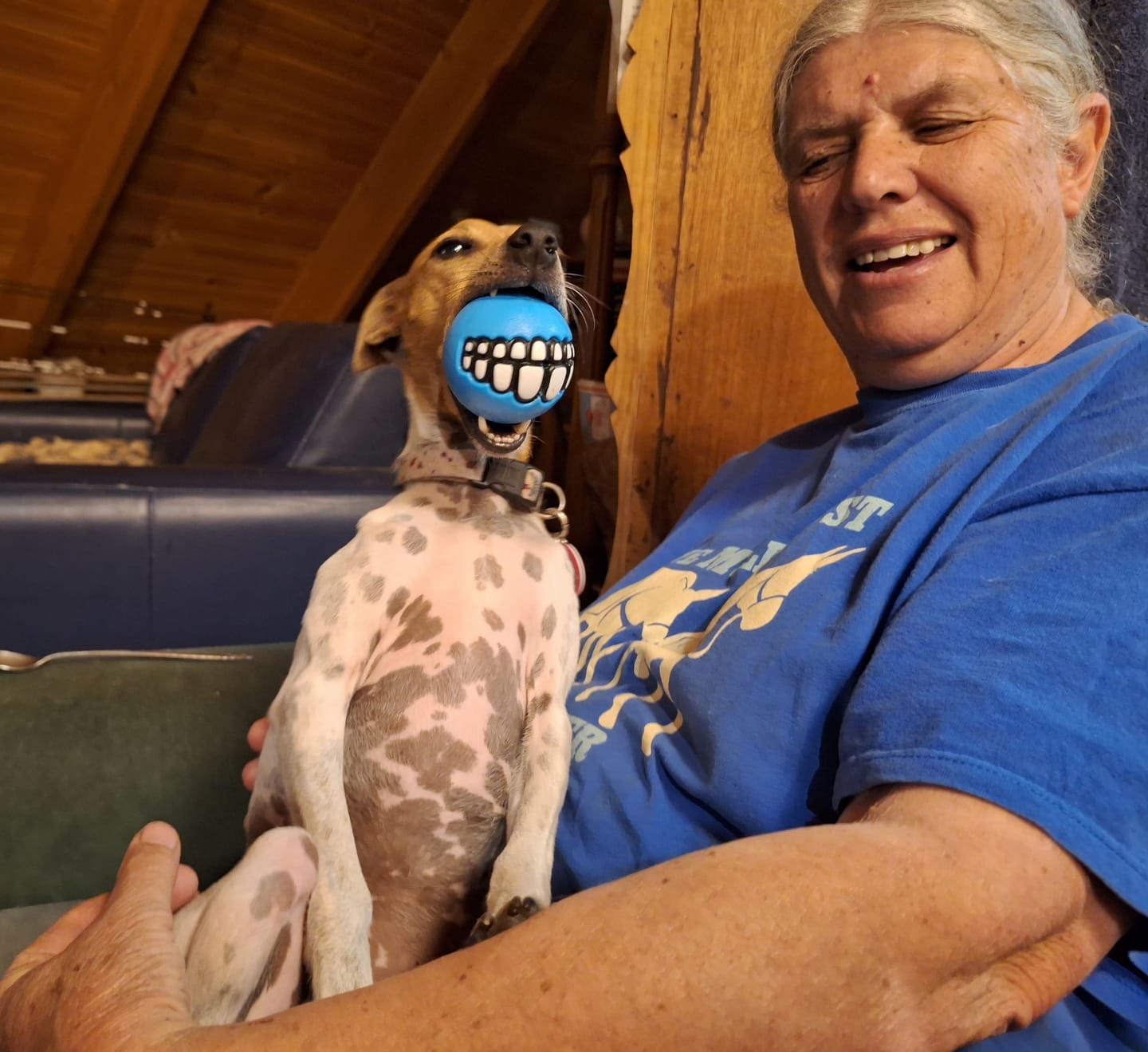 Customer photo review of Grinz Fetch Ball