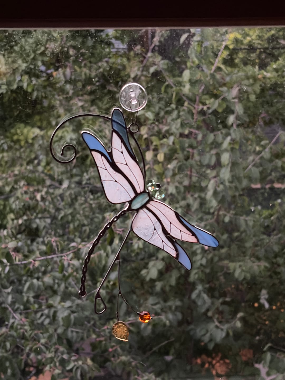 Customer photo review of Blue Dragonfly - Stained Glass Suncatcher