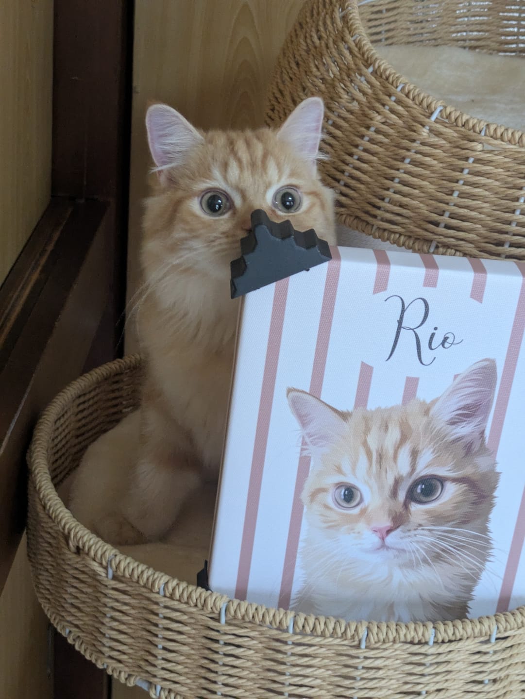 Customer photo review of Petcanva©オーダーメイド ペット似顔絵【3点セット】