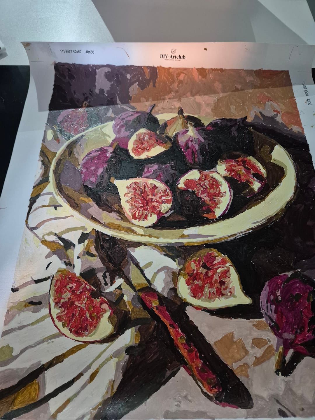 Customer photo review of Figs plate | Paint by Number