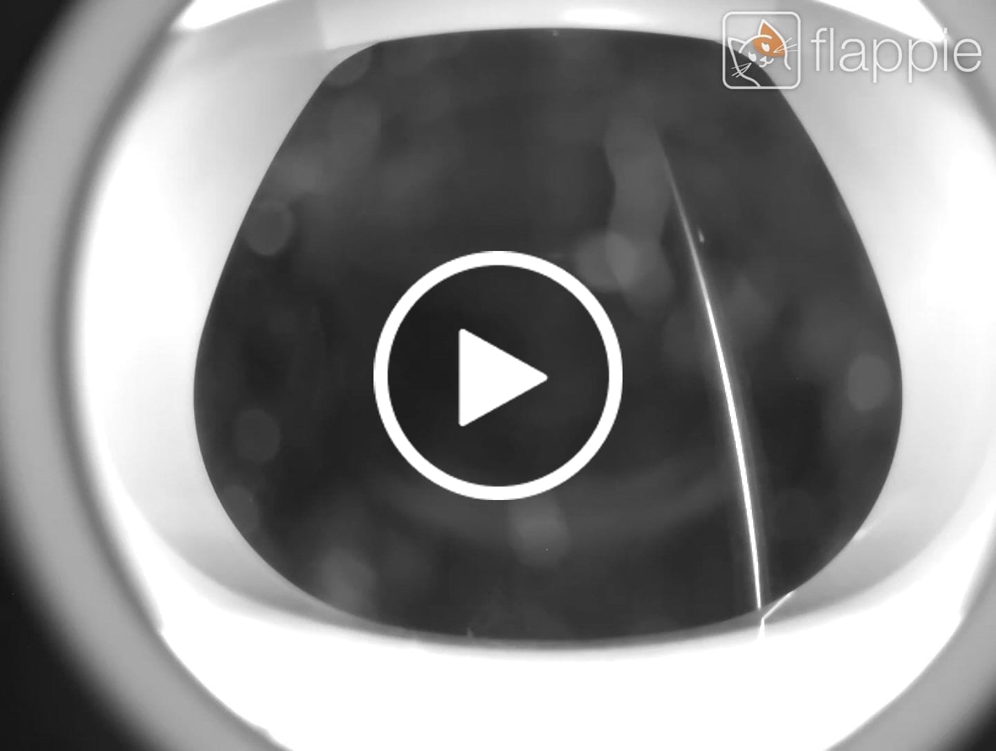 Customer video review of Flappie®
