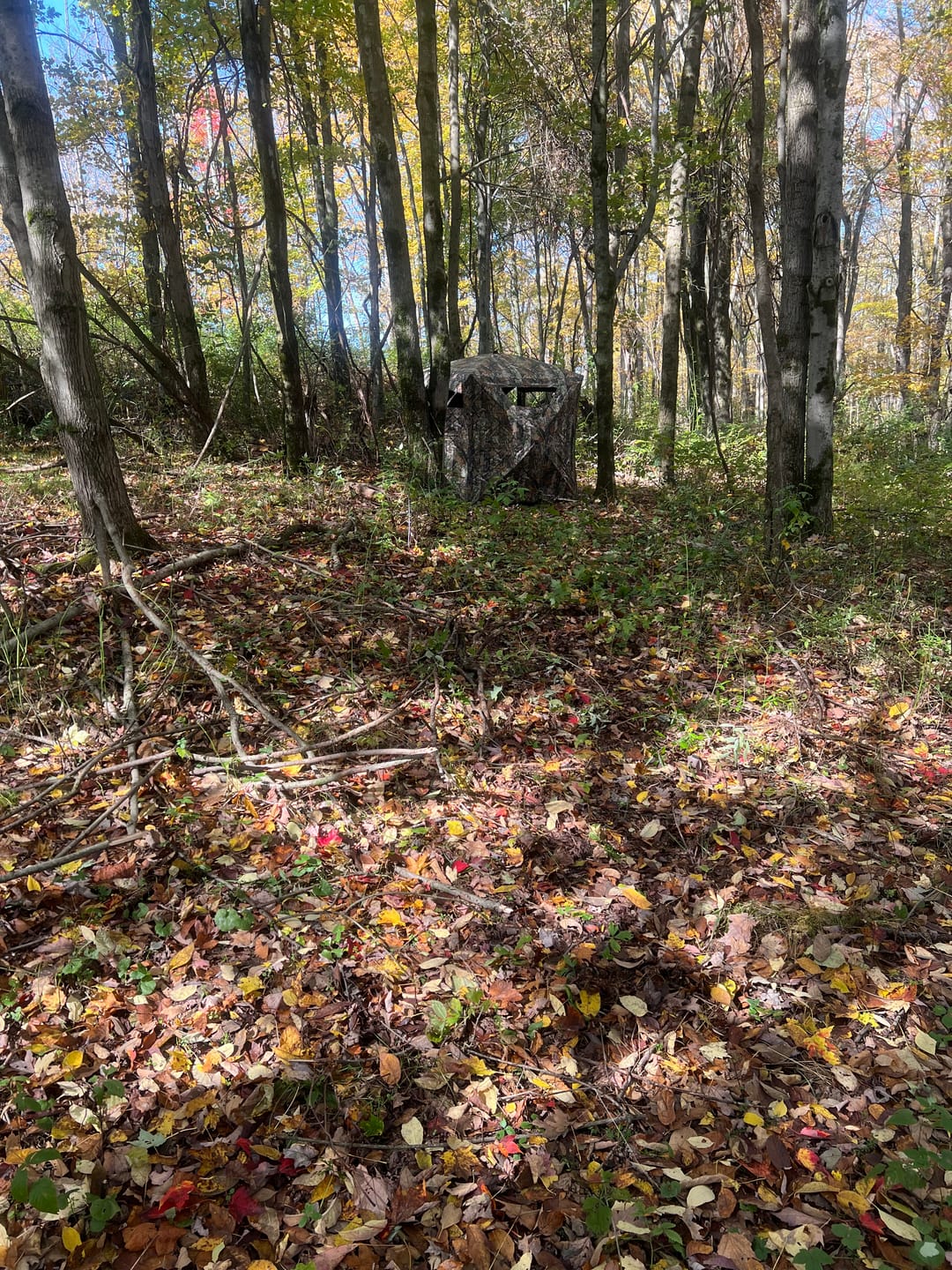 Customer photo review of FLASH SALE VisST See-Through Pop-Up Ground Blinds with Silent Magnetic Door