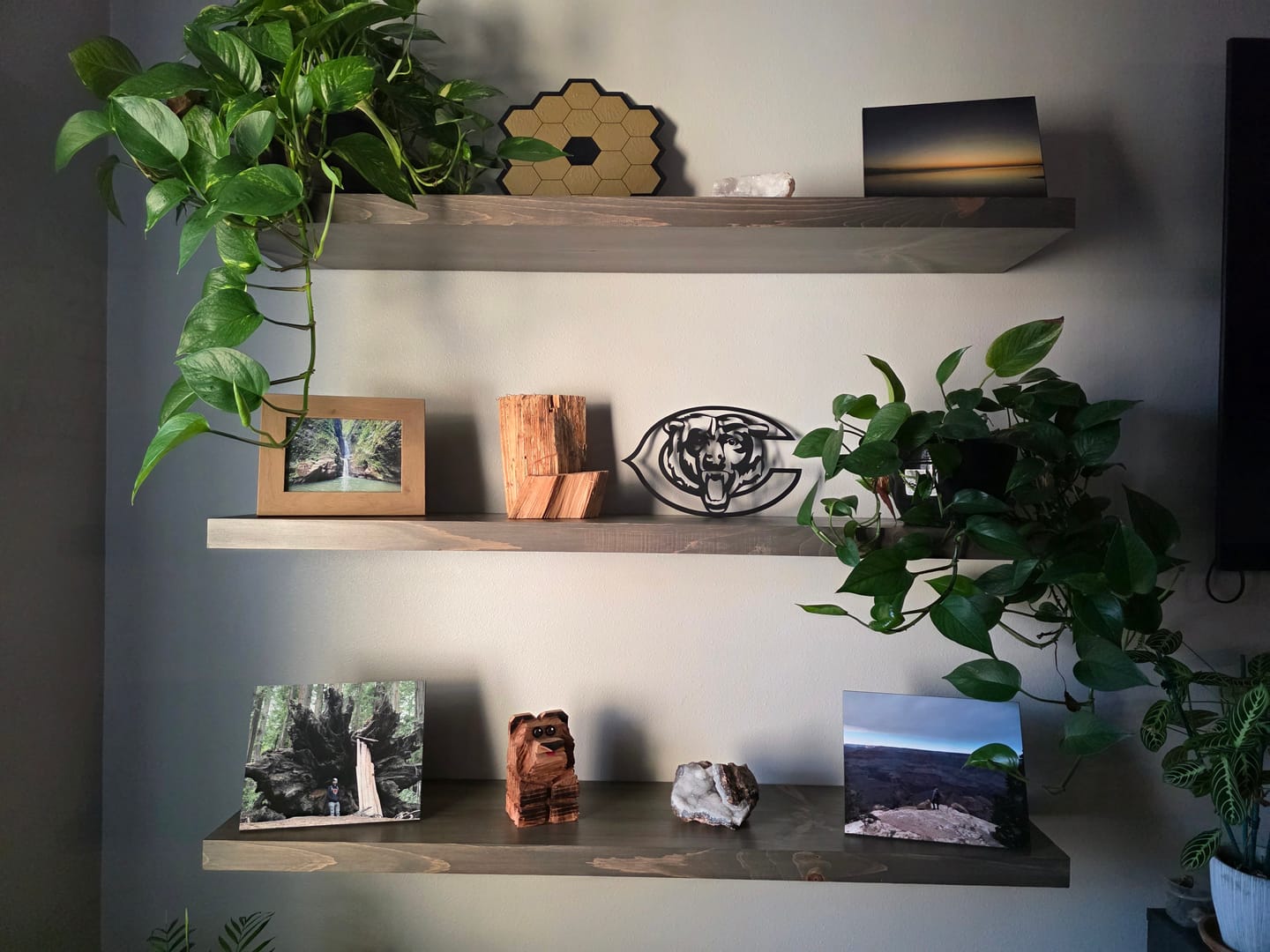 Customer photo review of Rustic Pine Floating Shelves