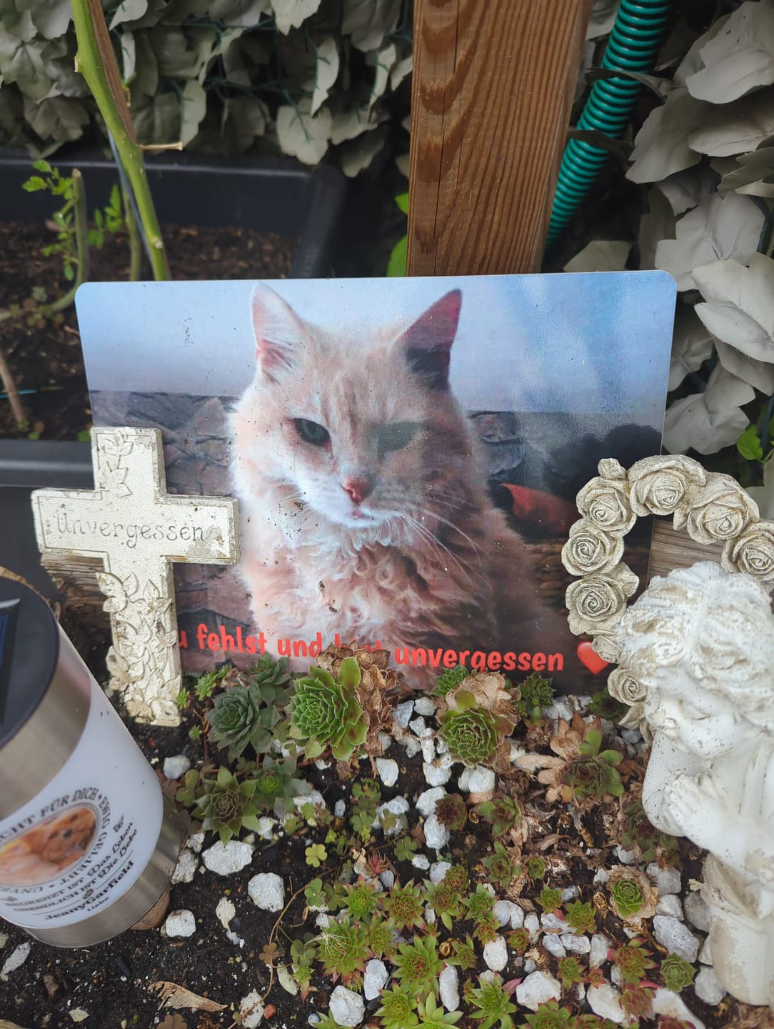 Customer photo review of Hunde Gedenktafel mit Foto & Spruch (UV- & Wetterfest)