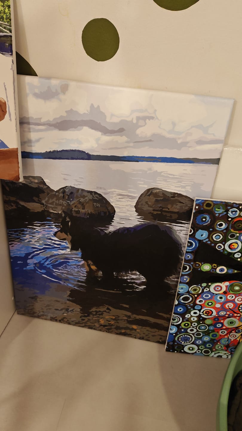 Customer photo review of Numeromaalaus omasta kuvasta