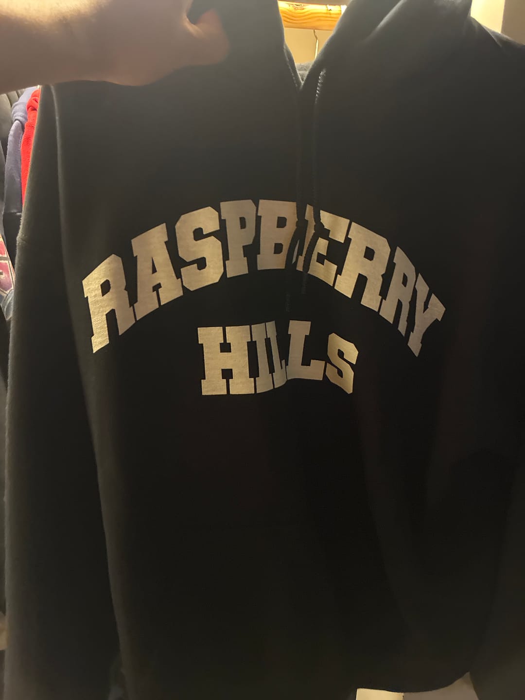 Customer photo review of GV Gallery Raspberry Hills Hoodie Black