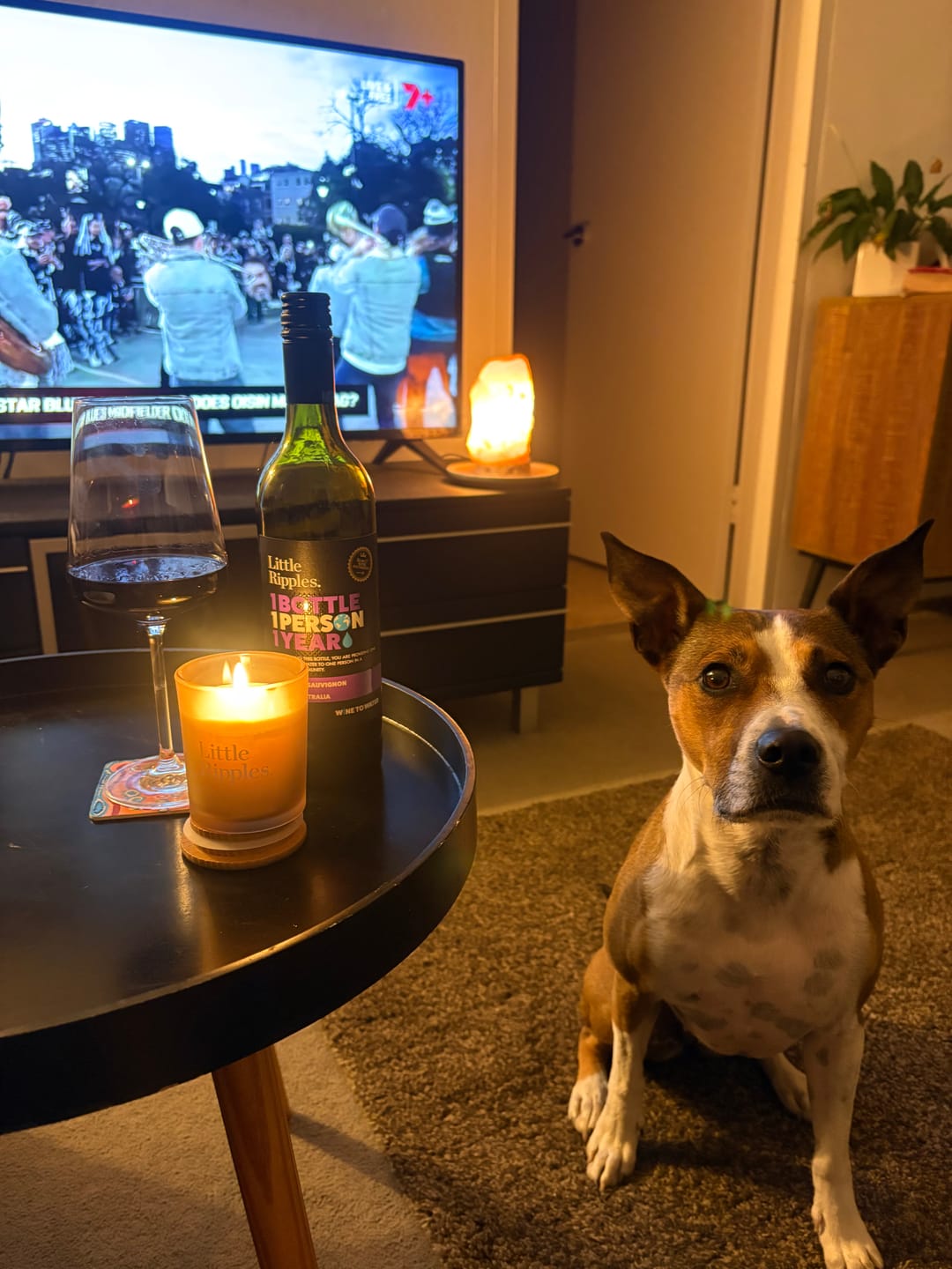 Customer photo review of Sampler - 4 Pack