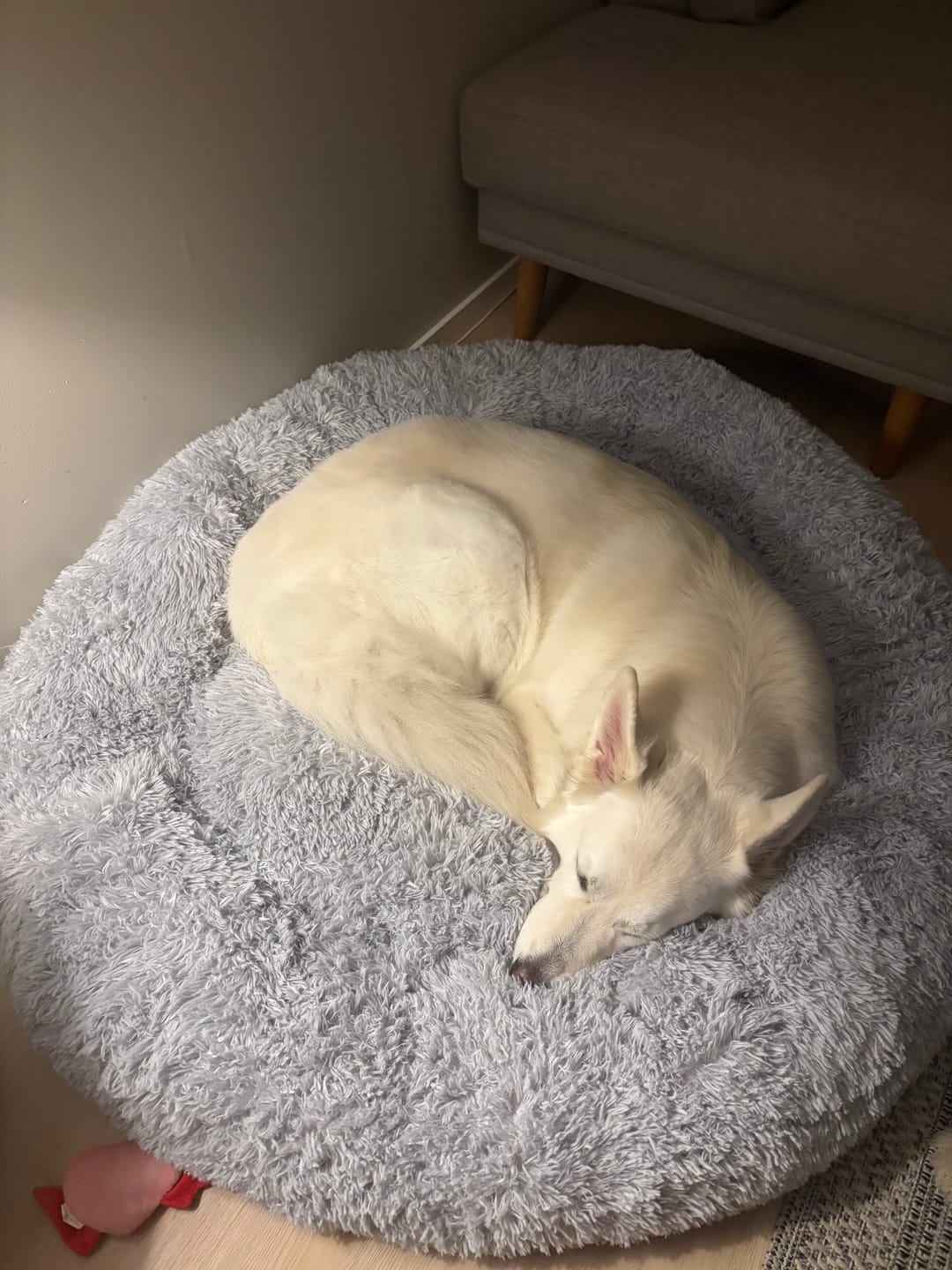Customer photo review of CalmBed – Ehkäisee stressiä ja lievittää ahdistusta