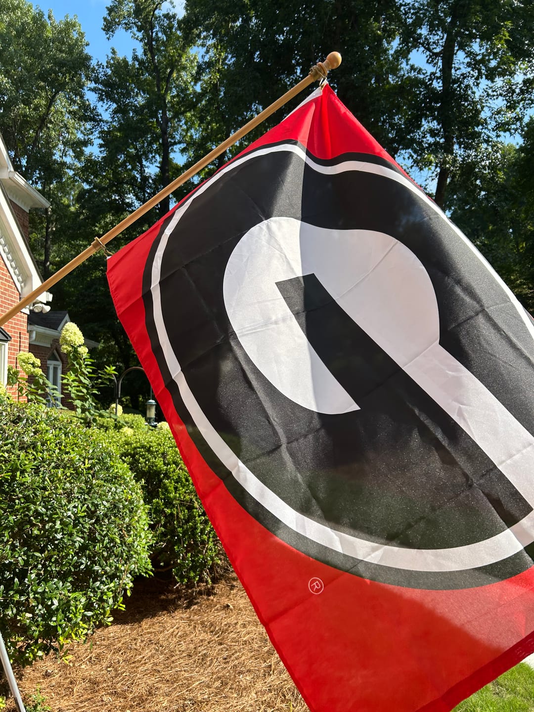 Customer photo review of 6' Flagpole