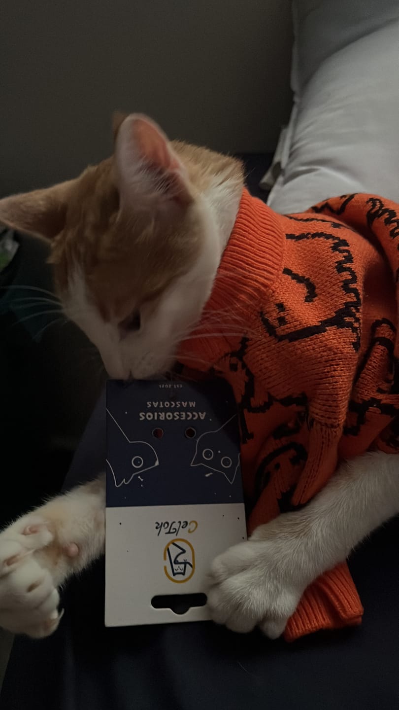 Customer photo review of CT2755 1 Pieza De Ropa De Invierno Para Mascota