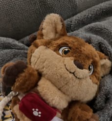 Customer photo review of Juguete Interactivo para Gatos con Cascabeles y Cuerdas