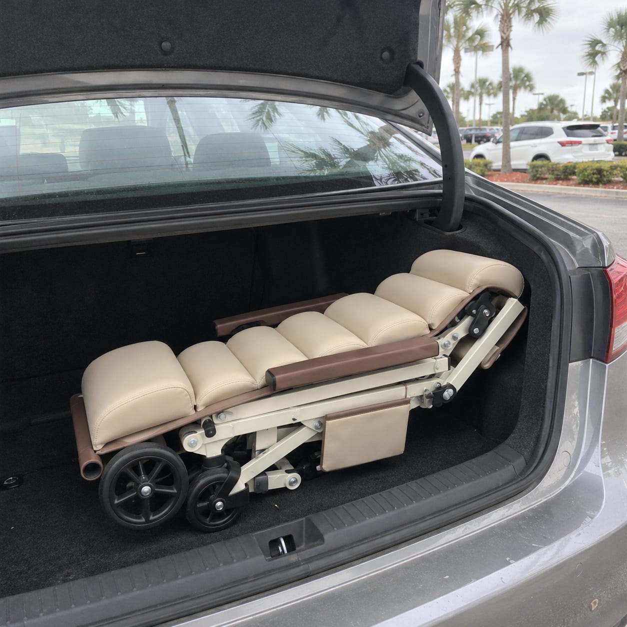 Customer photo review of Folding Transport Chair
