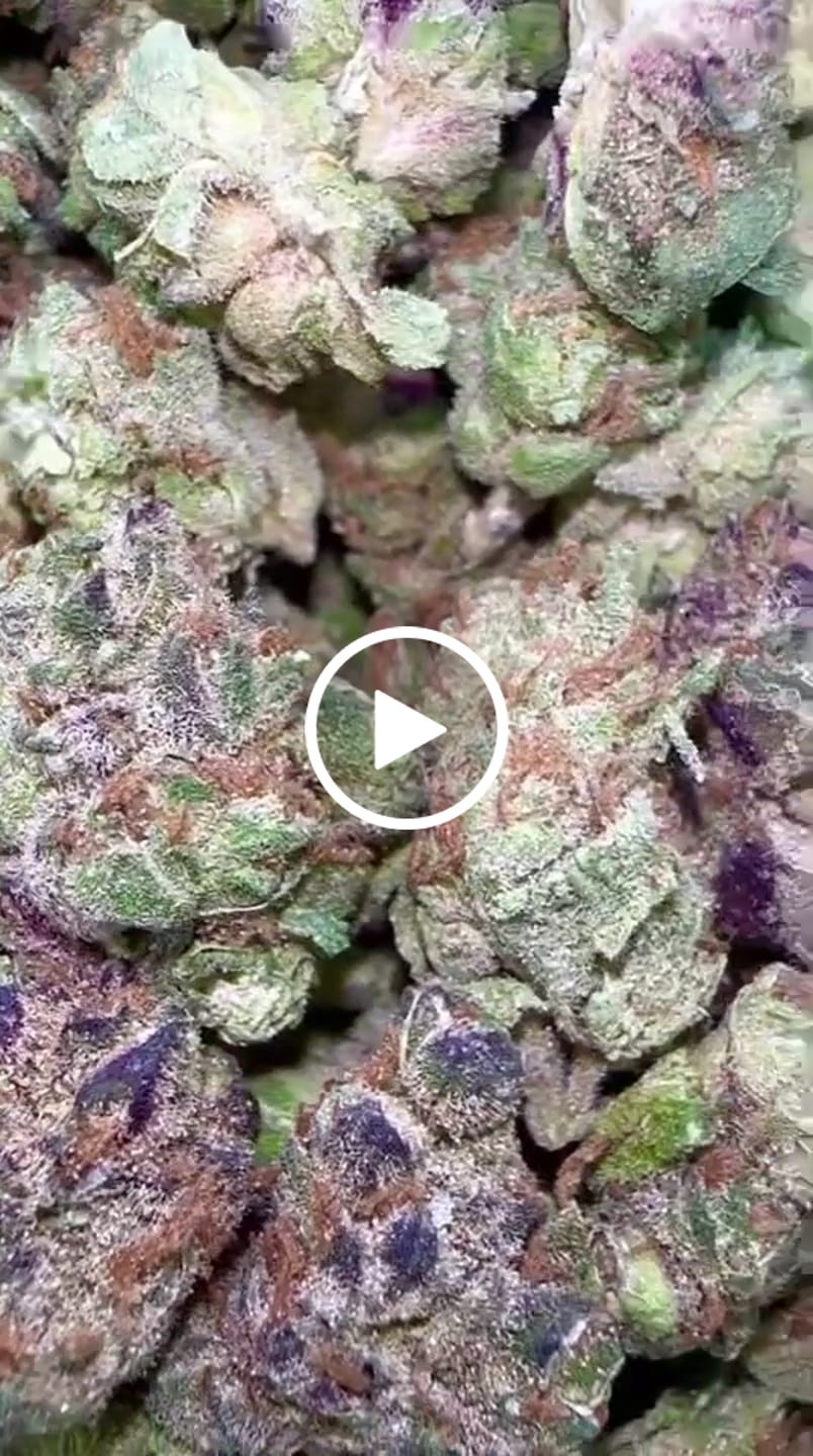 Customer video review of Bulk MixLight Flower
