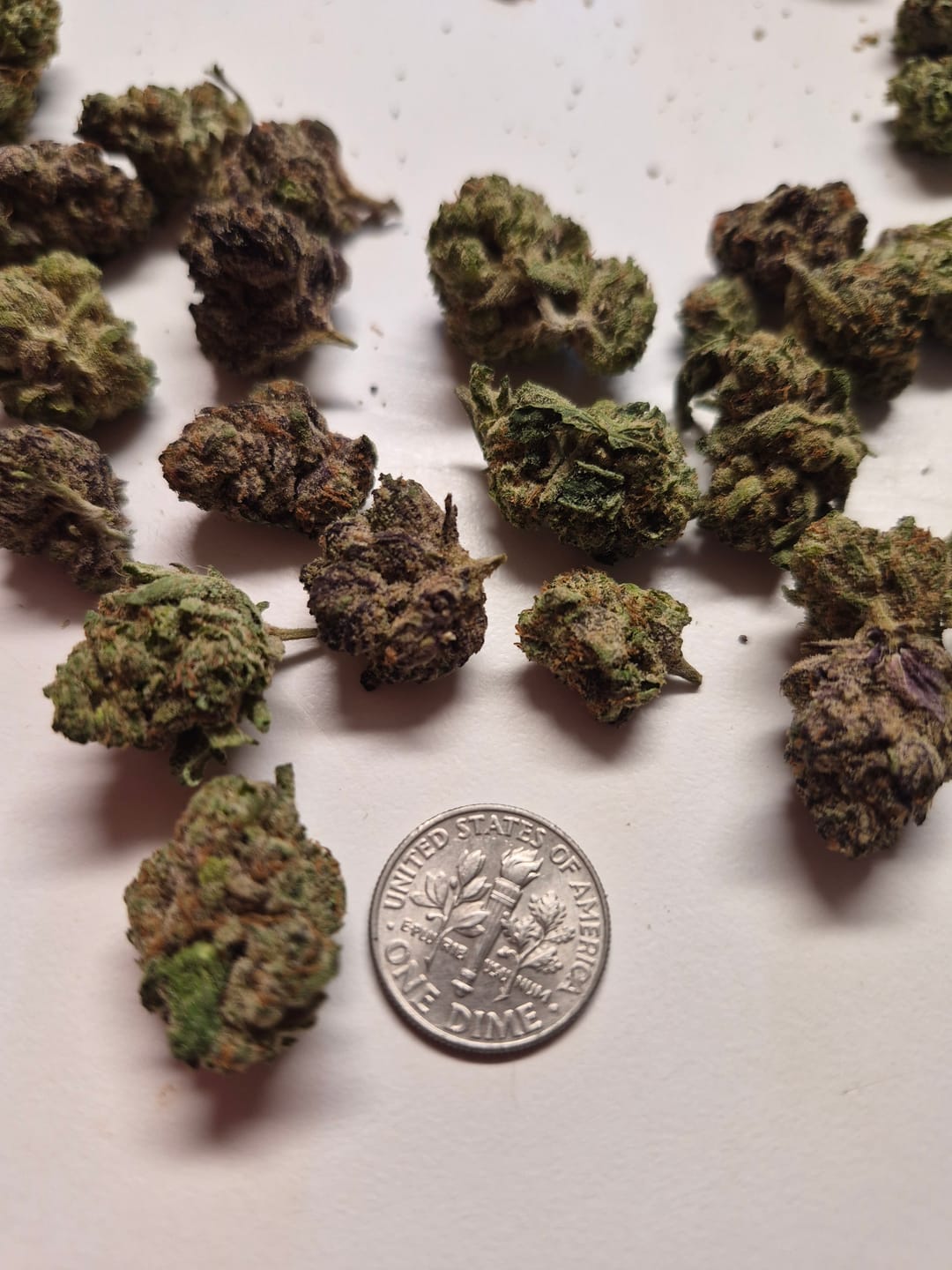 Customer photo review of Razzleberry (Indoor Mediums) - THCA Flower