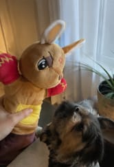 Customer photo review of Juguete Interactivo para Gatos con Cascabeles y Cuerdas