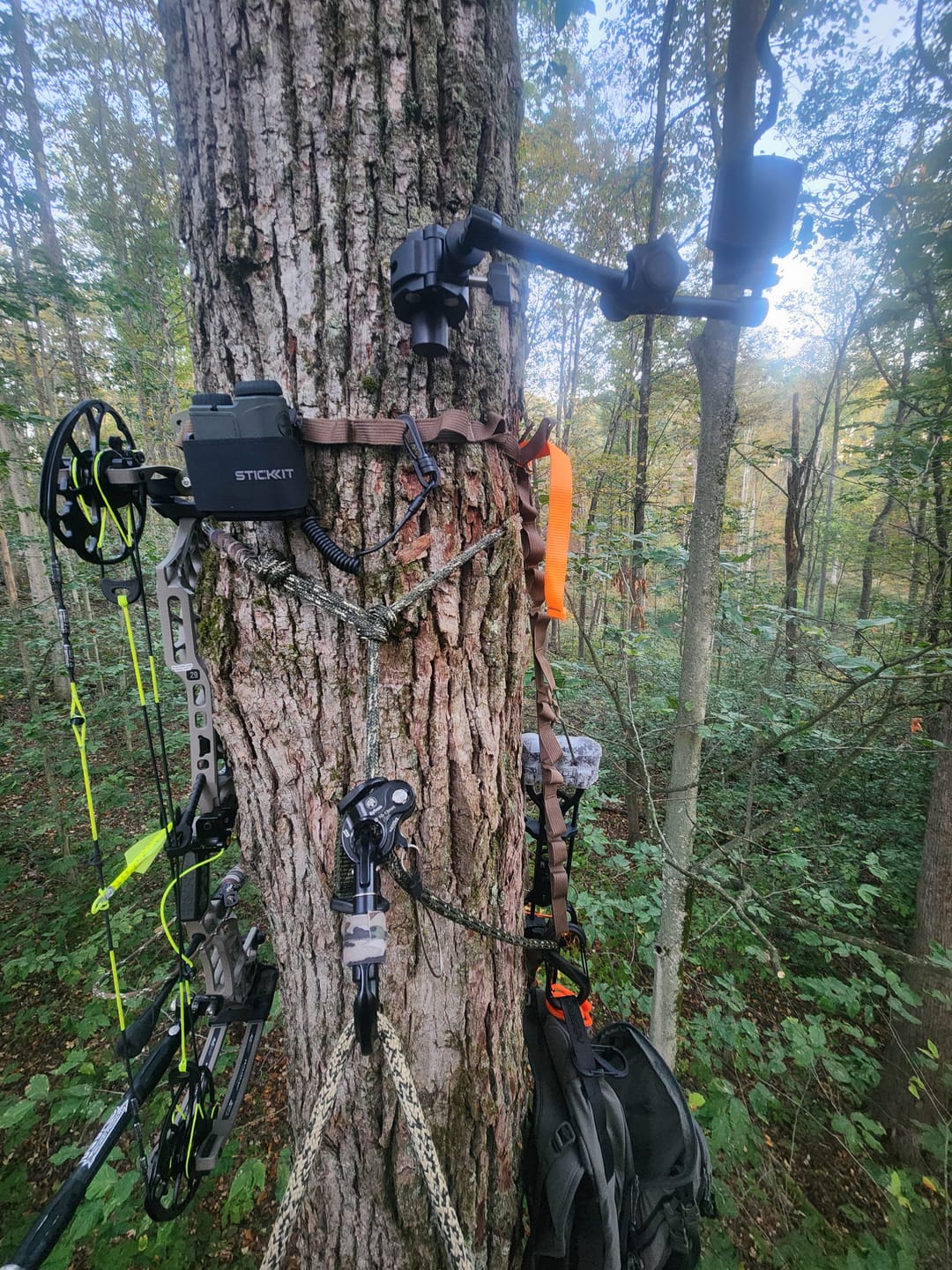 Customer photo review of MAG-PRO ARM
