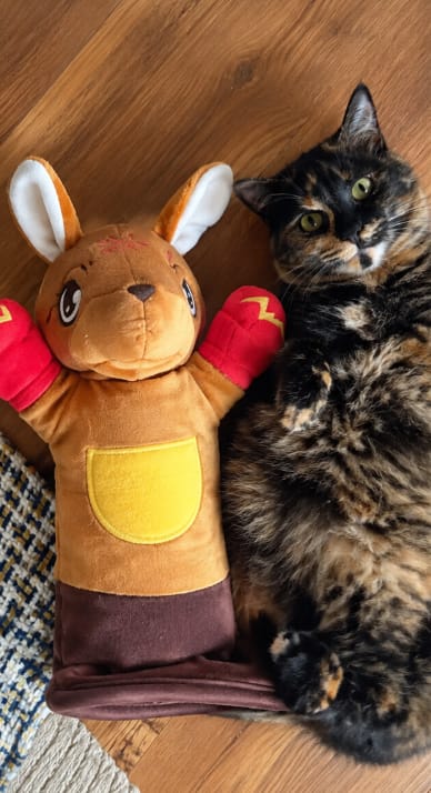 Customer photo review of Juguete Interactivo para Gatos con Cascabeles y Cuerdas