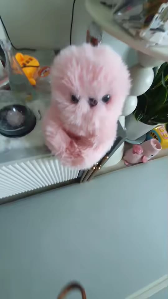 Customer photo review of Mirumi Interactive Robot Plush Bag Charm