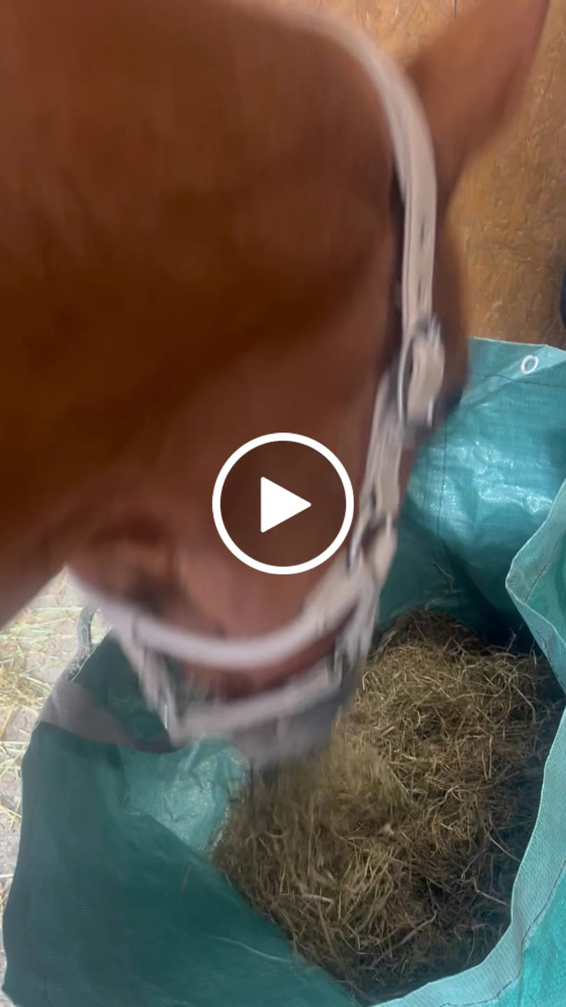Customer video review of Lollenstein Wiesenheulage 2. Schnitt - Für deinen Oldie