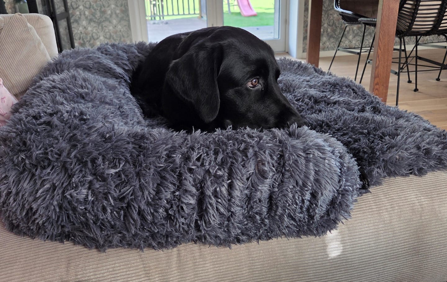 Customer photo review of CalmCouch - Motverkar ångest & skyddar din soffa