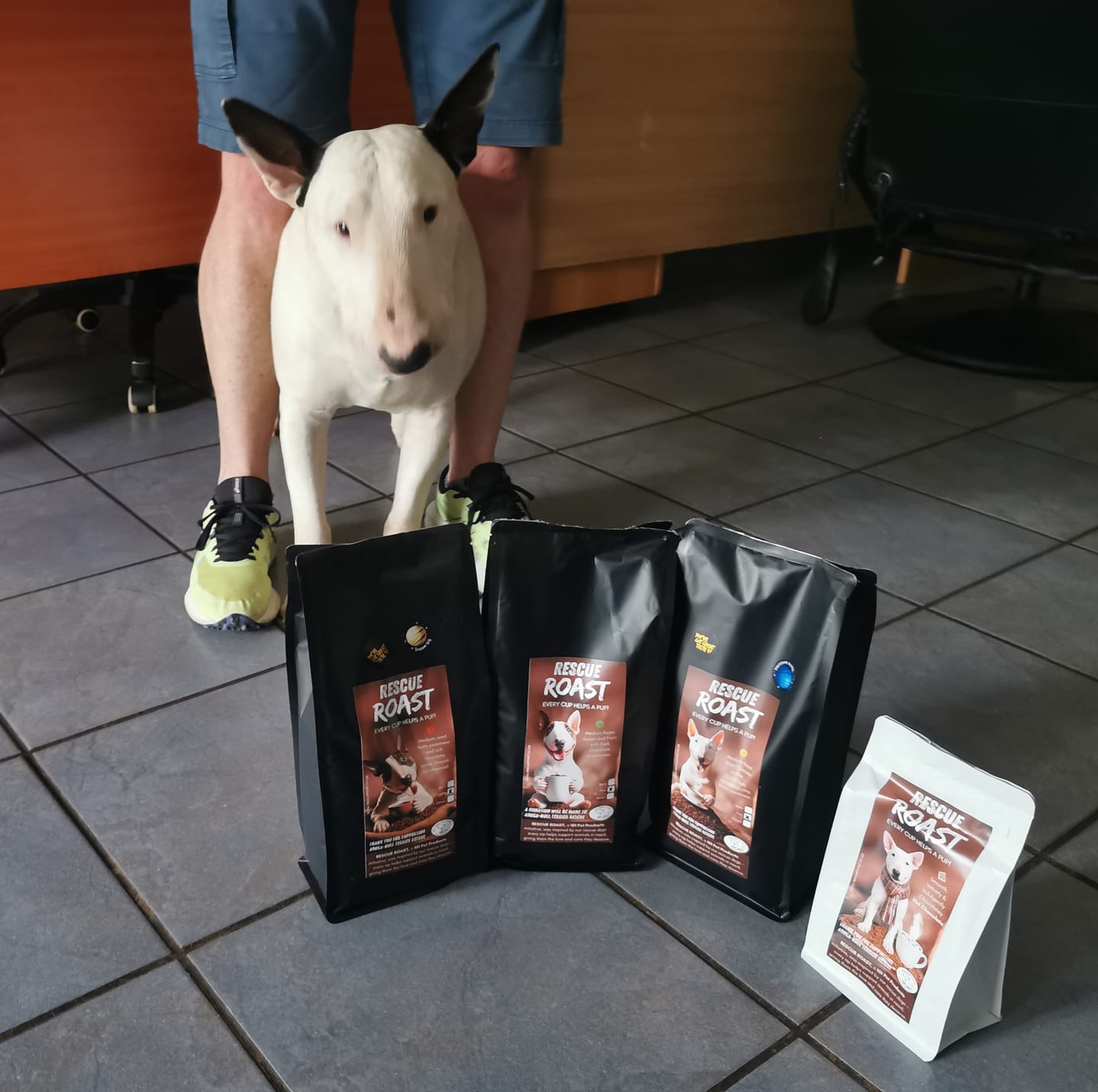 Customer photo review of Irresistible Charm (Adora-Bull Bull Terrier Rescue) #2