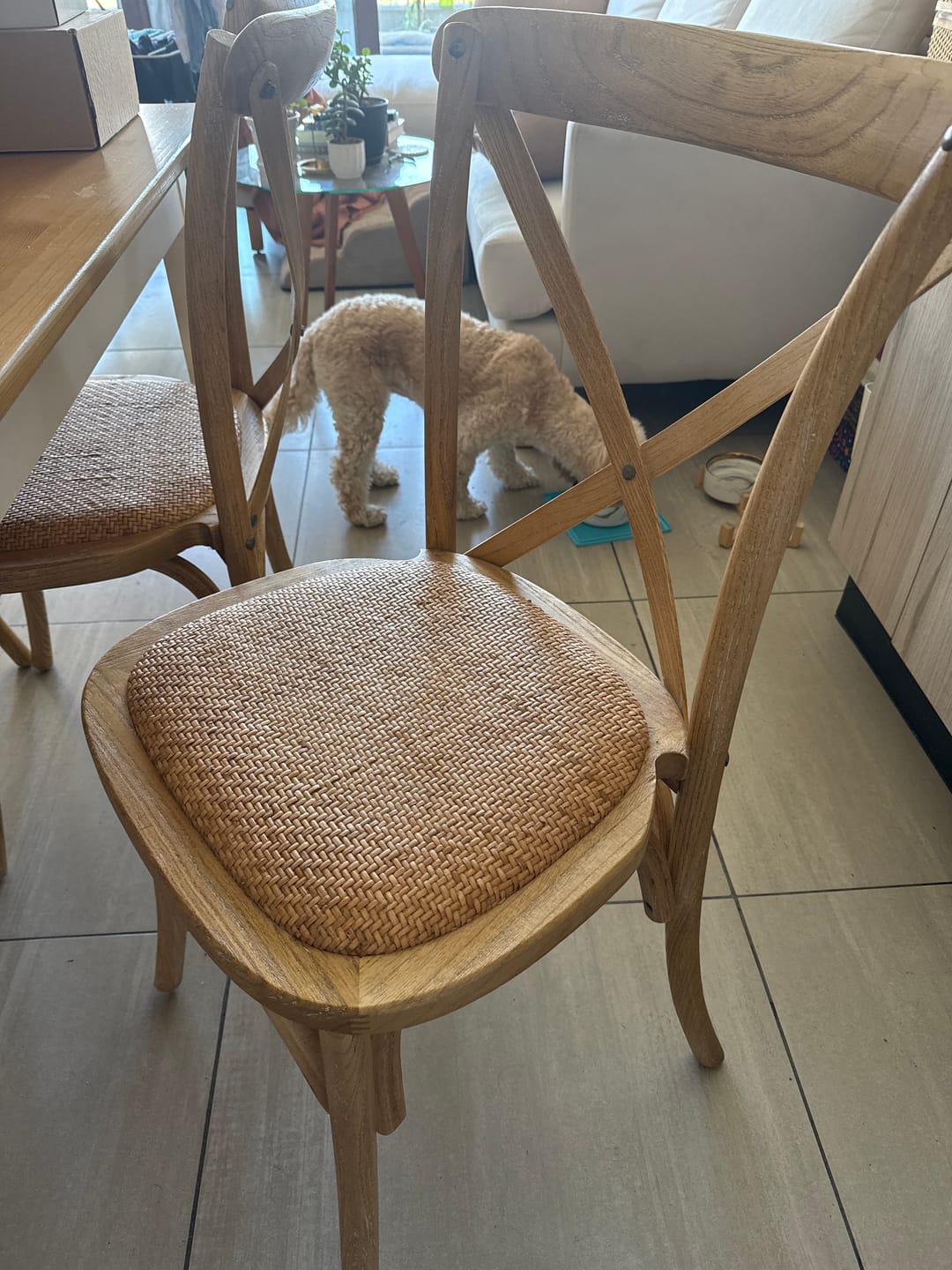 Customer photo review of Silla Madera Tradition Rattan Olmo Natural Apilable