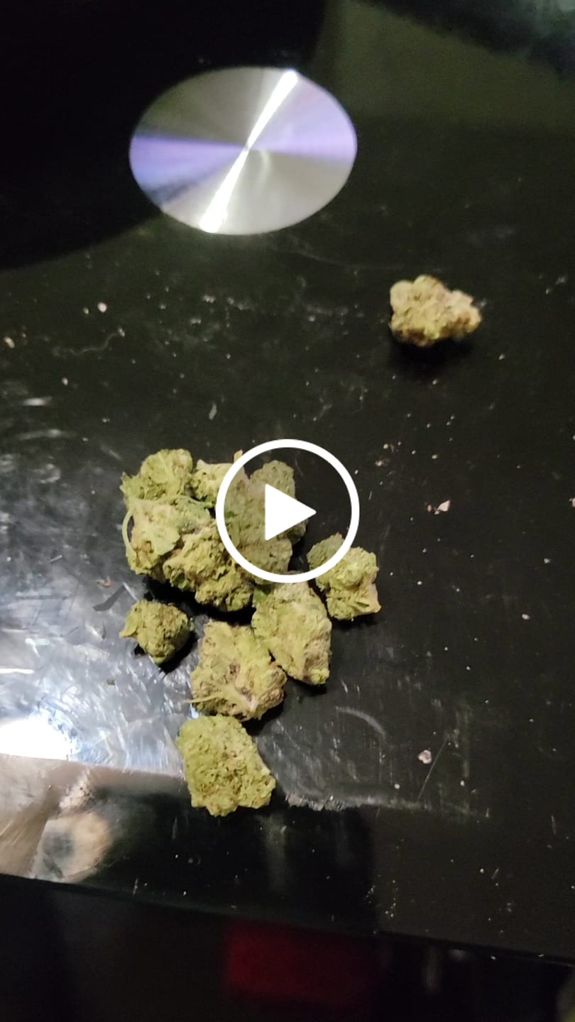 Customer video review of Oreo Blizzard (Light Assist) - THCA Flower