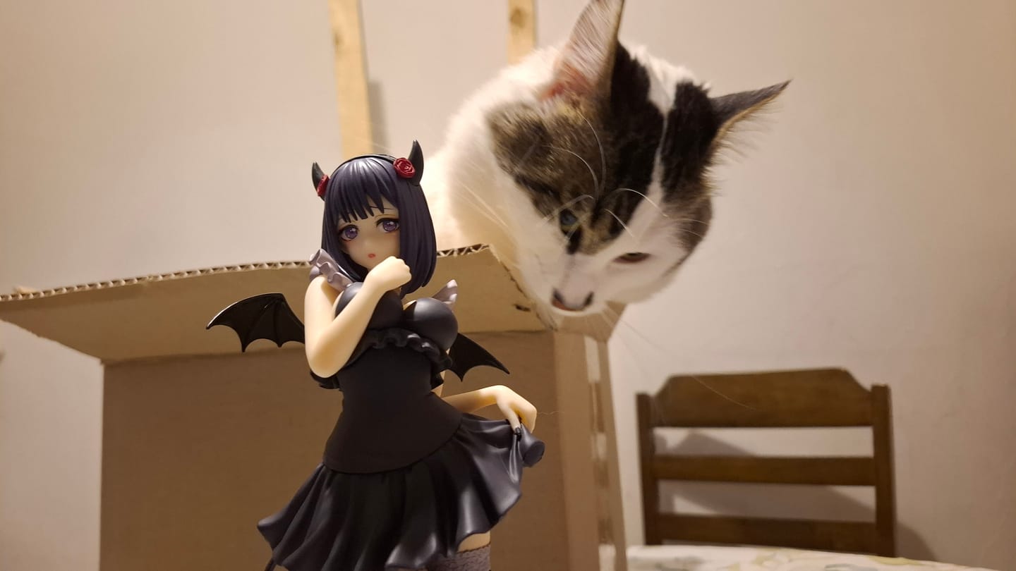 Customer photo review of Sono Bisque Doll wa Koi o Suru - Kitagawa Marin - BiCute Dark - Kuroe Shizuku (FuRyu)