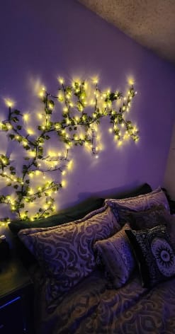 Customer photo review of MerryTwig Christmas Branch Lights