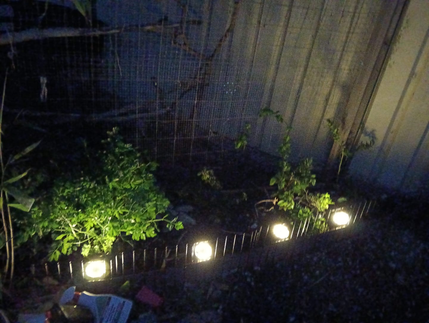 Customer photo review of SolaGarden™ LED Ground Light Pack