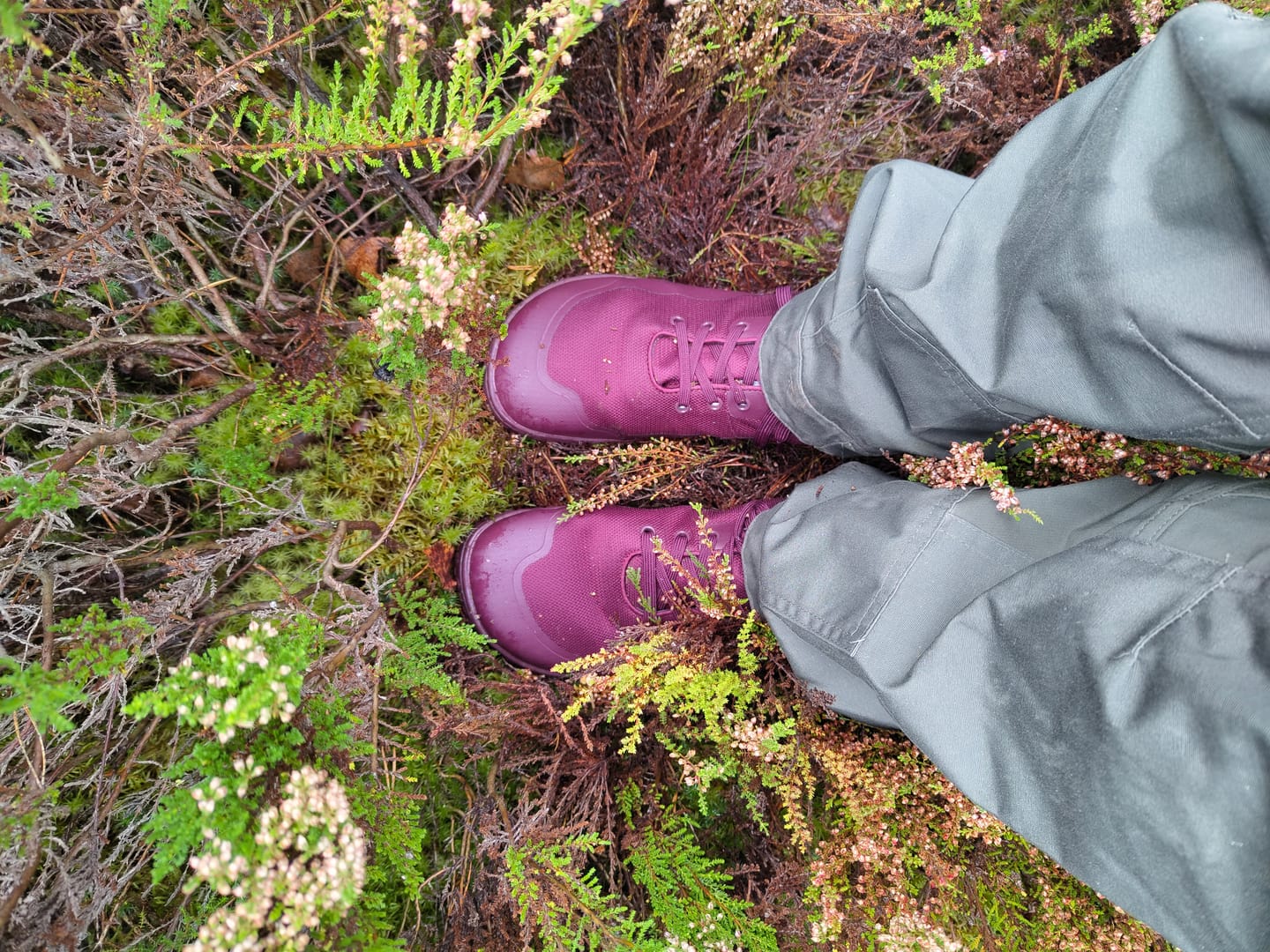 Customer photo review of Vaistoa Tuohi 2 -paljasjalkaretkeilykengät