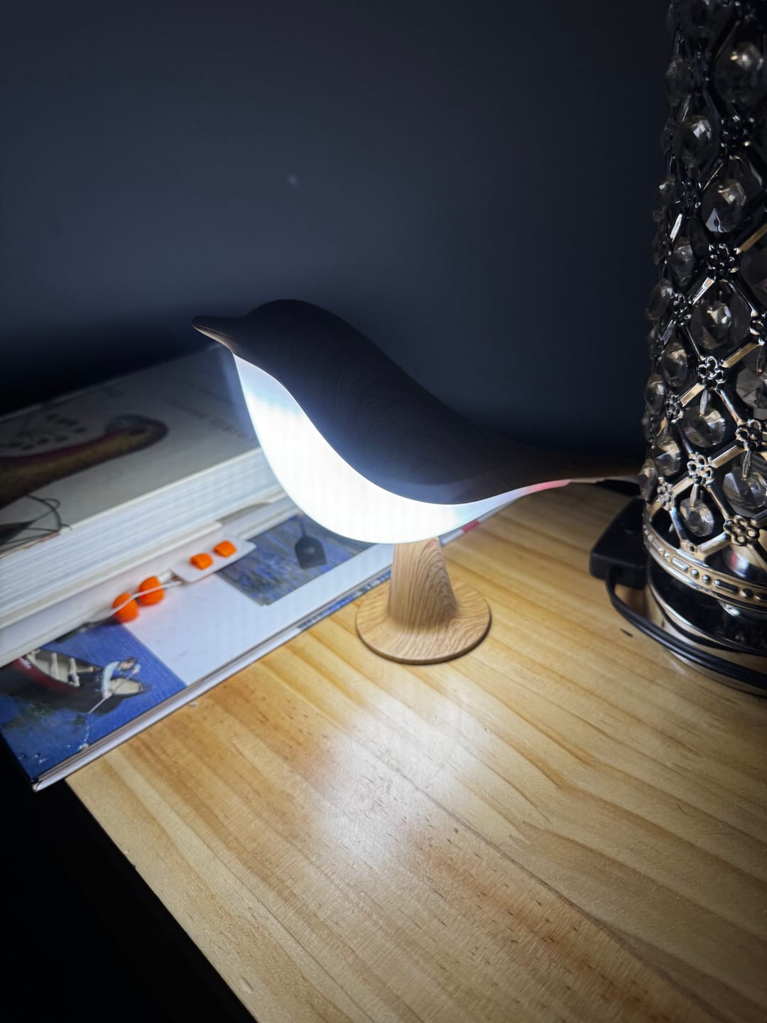 Customer photo review of Glow Bird