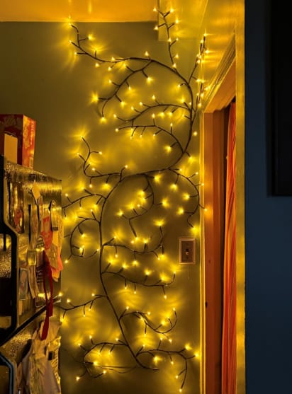 Customer photo review of MerryTwig Christmas Branch Lights