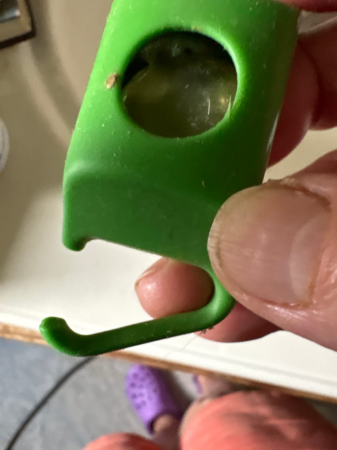 Customer photo review of FurLife™ 12 Months Flea and Tick Free