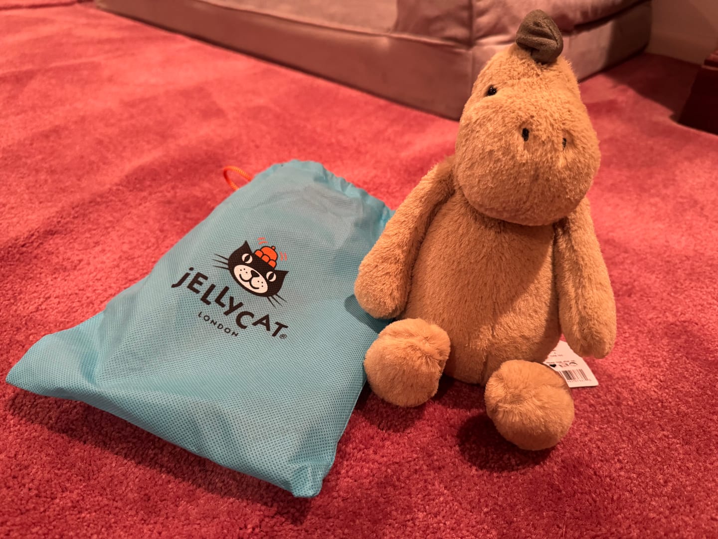 Customer photo review of Bashful Dino