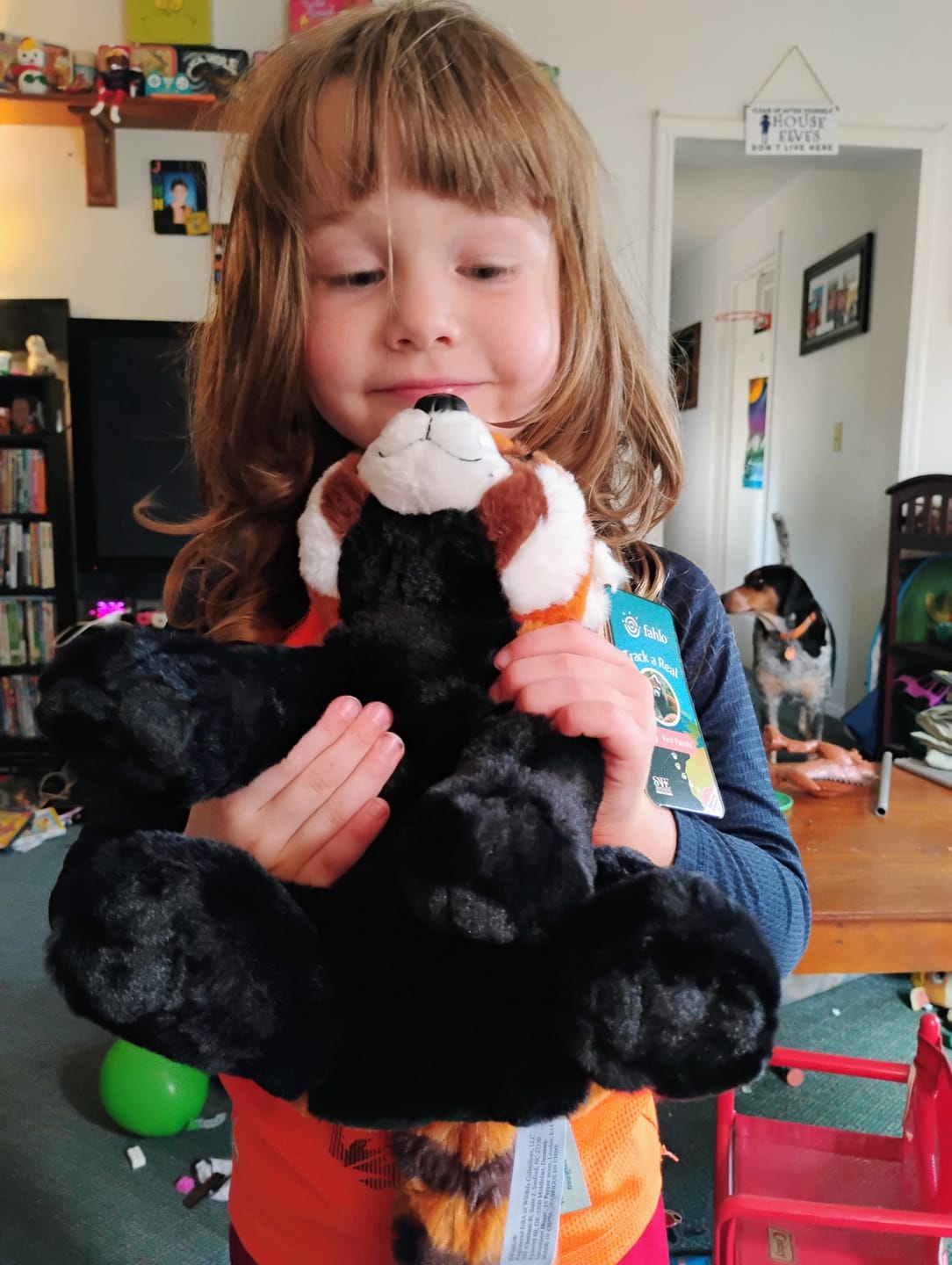 Customer photo review of The Dash Plush
