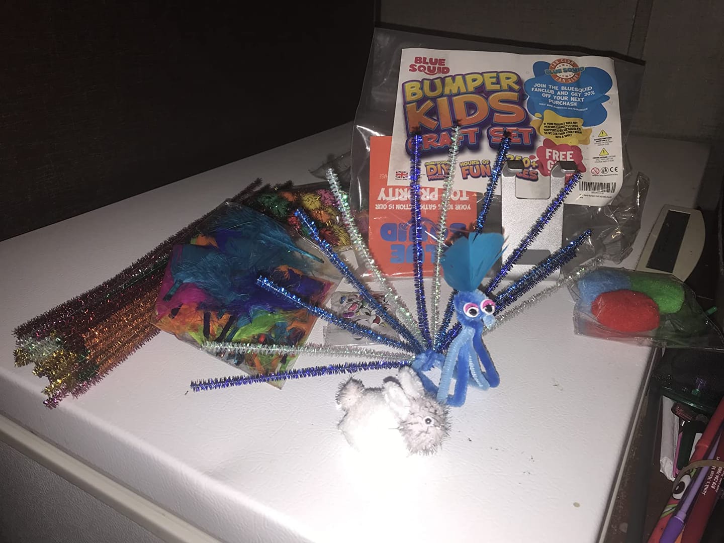 Customer photo review of Blue Squid Essential Craft Kit