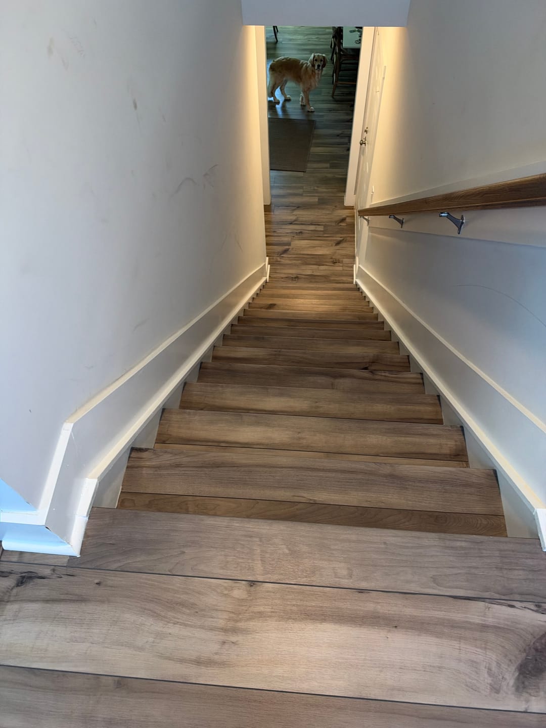 Customer photo review of Paladin Plus | Sea Glass Stair Tread