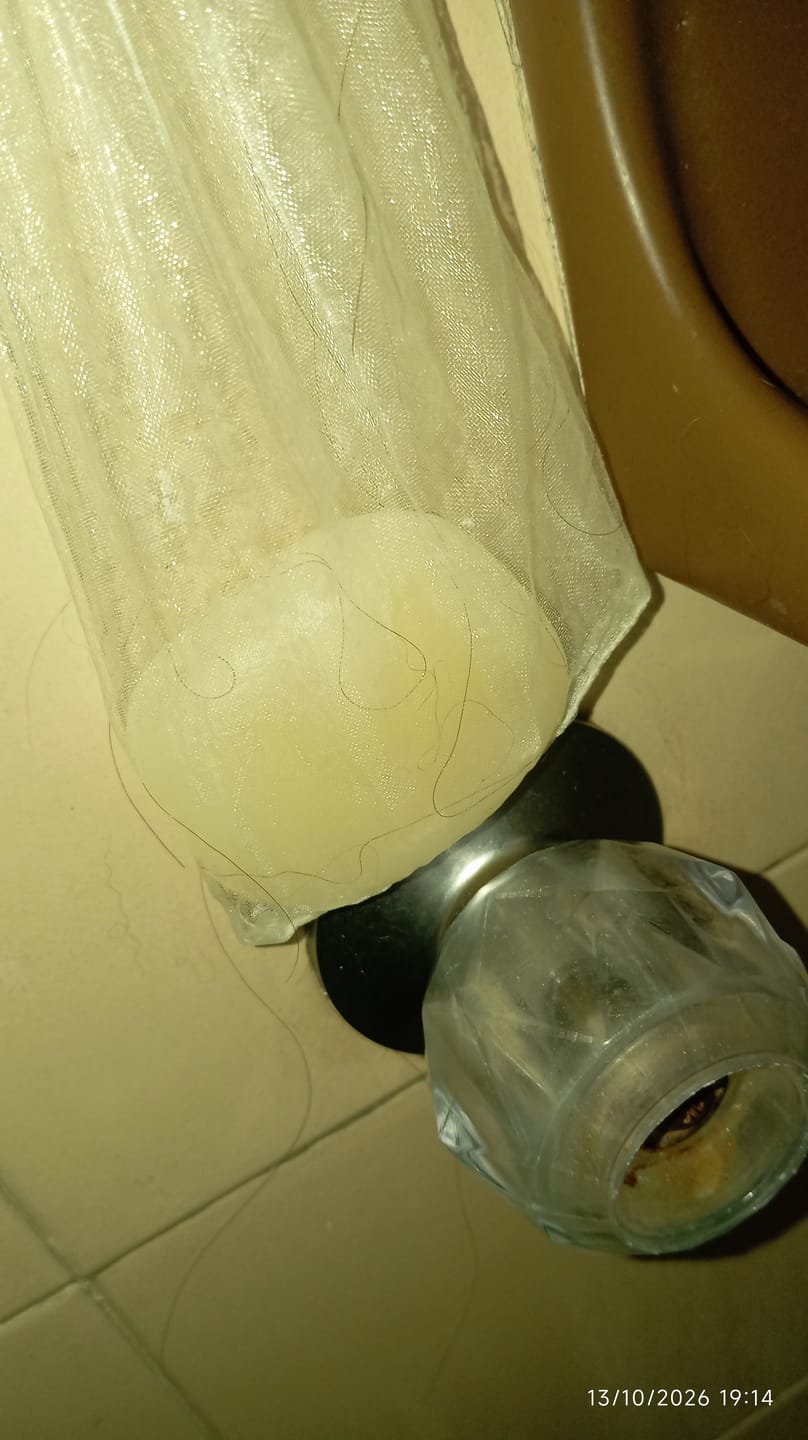 Customer photo review of HIDRATACIÓN PROFUNDA Acondicionador Sólido Okobo
