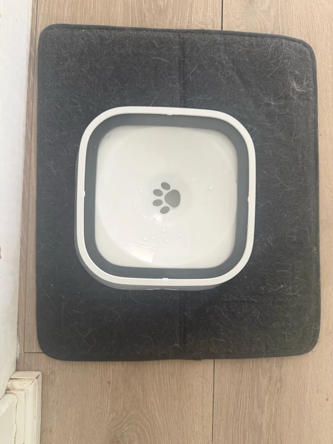 Customer photo review of Portable Dog Bowl Pet Floating Bowl Splash-proof