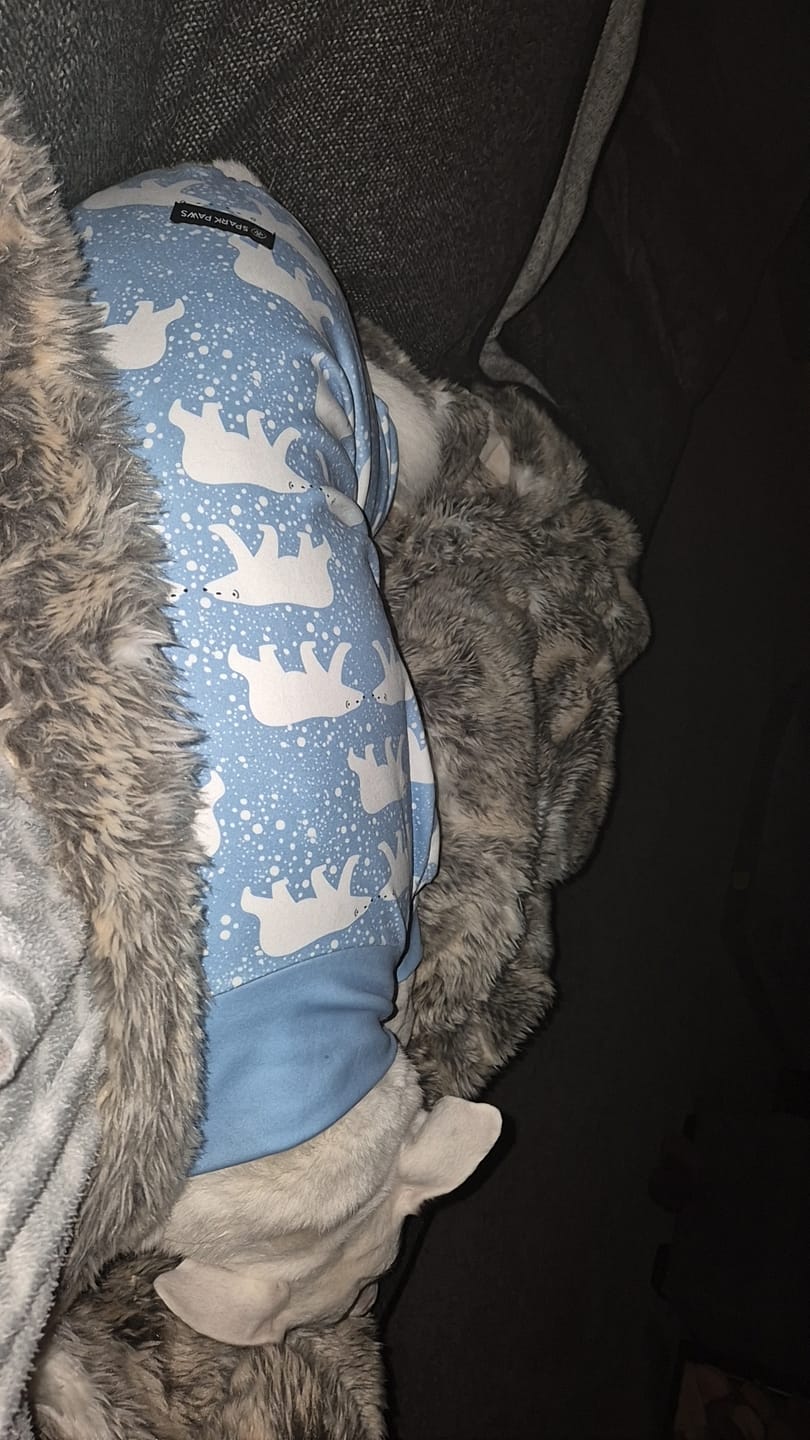 Customer photo review of Dog Pajama - Snowy Polar Bear
