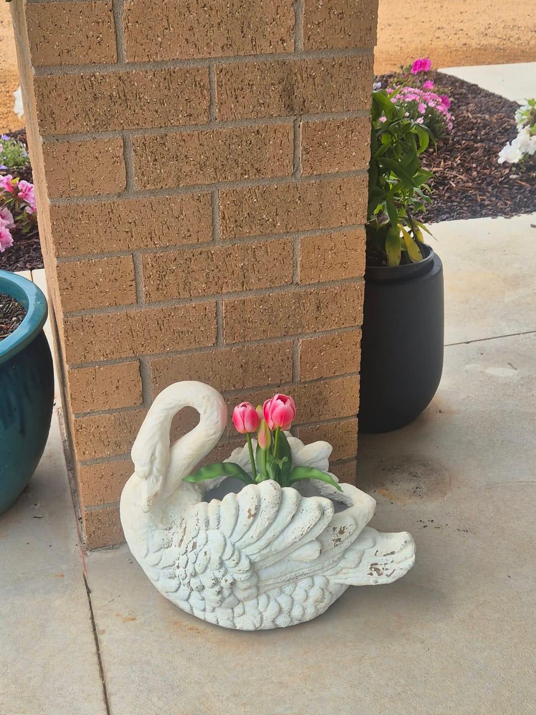 Customer photo review of Odette French Provincial Swan Planter, Whitewashed Magnesia Garden Decor 43cm